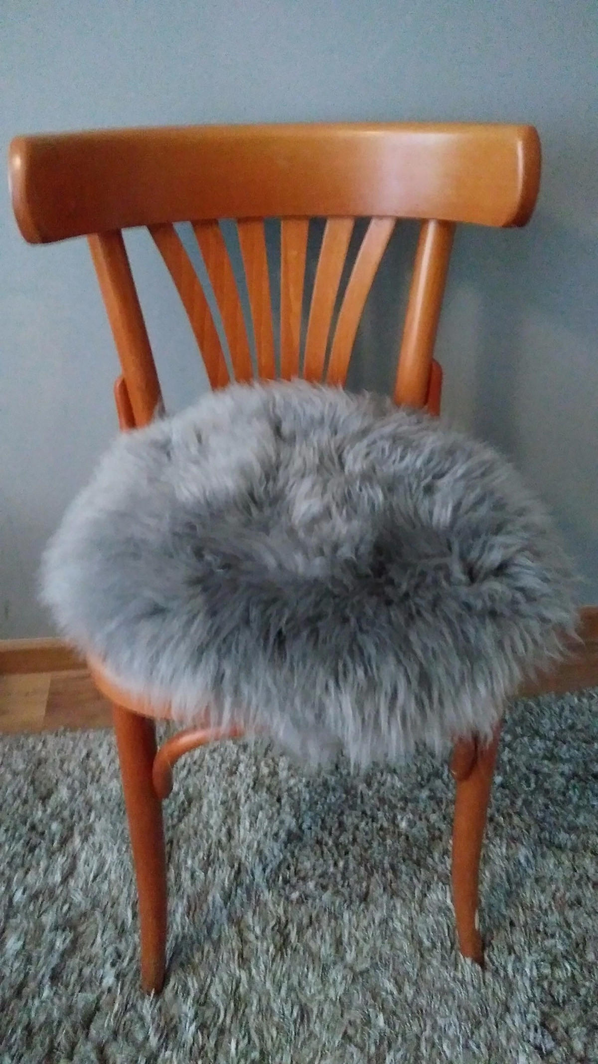 SITZAUFLAGE Lammfell Stuhlauflage Naturfell Rund 30/30 cm - Grau, Fell (30/30cm) - Provellus