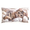 DEKOKISSEN Pets Cats - Weiß, Textil (50/30/8cm) - Magma Heimtexx