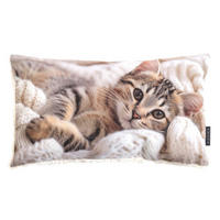 DEKOKISSEN Pets Cats - Weiß, Textil (50/30/8cm) - Magma Heimtexx
