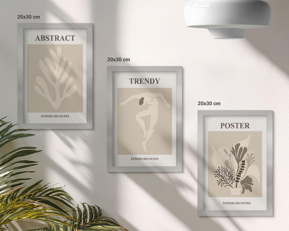 BILDER SET 3er Set - 20x30 cm Silberner Rahmen - Blumenmuster beige braun - Silberfarben, Kunststoff (20/30cm) - TULUP