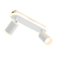 LED-DECKENLEUCHTE Lichtelf 2-flammig 33/6/9 cm - Weiß, Kunststoff (33/6/9cm) - Nettlife
