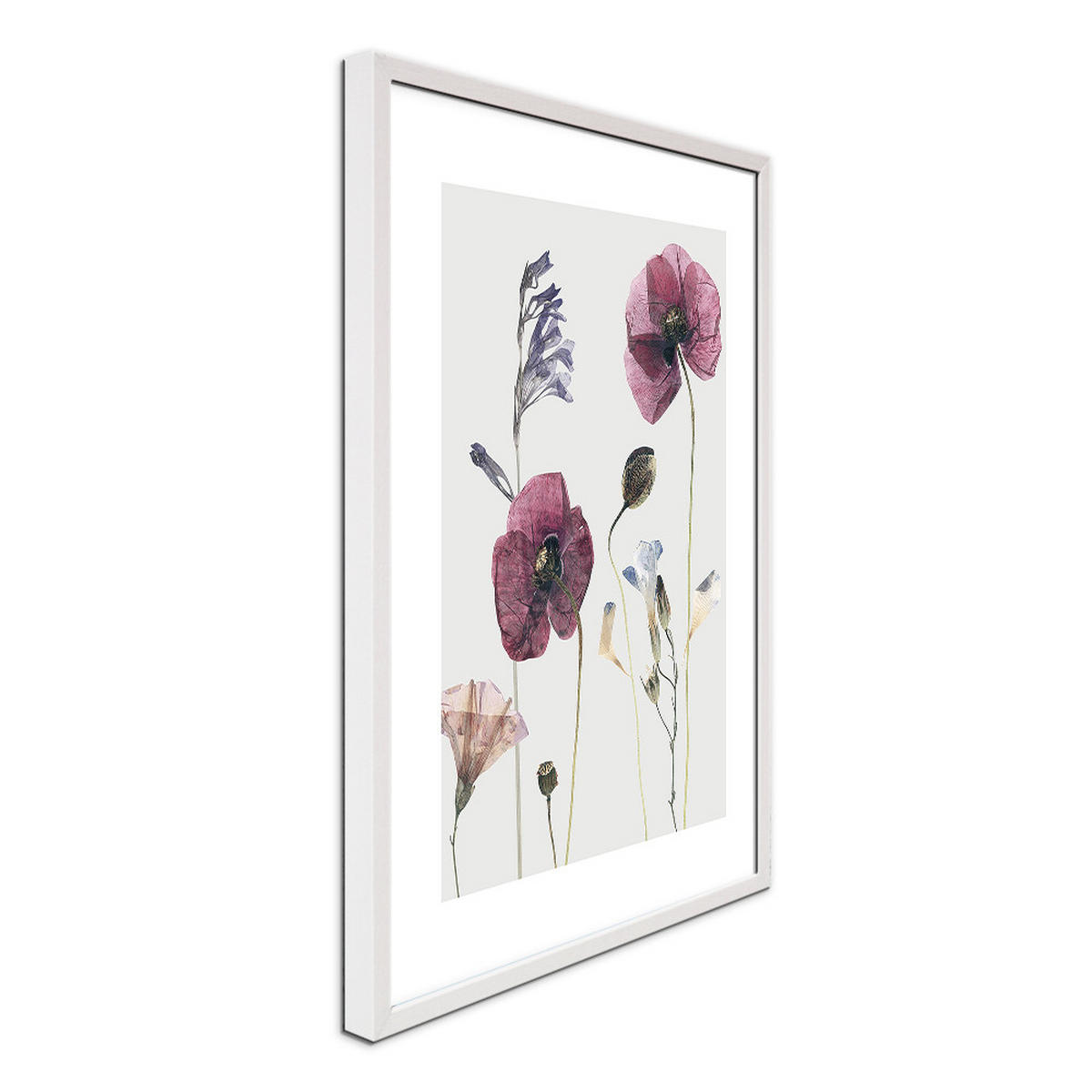 POSTER mit Rahmen 40x50 cm Mohn-Blumen rosé natur - Weiß, Holz (41/51cm) - artissimo