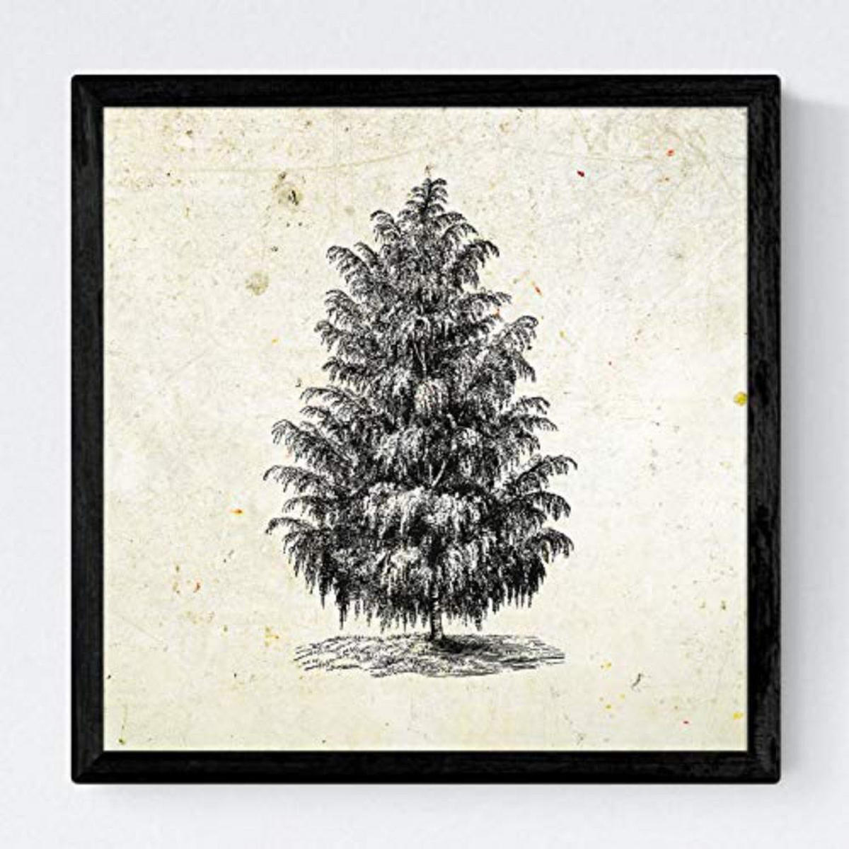 POSTER Set mit 4 Blättern der Hohe Bäume Jahrgang Hintergrund 20x20cm Rahmenlos - Klar, Papier (20/3cm) - Nacnic