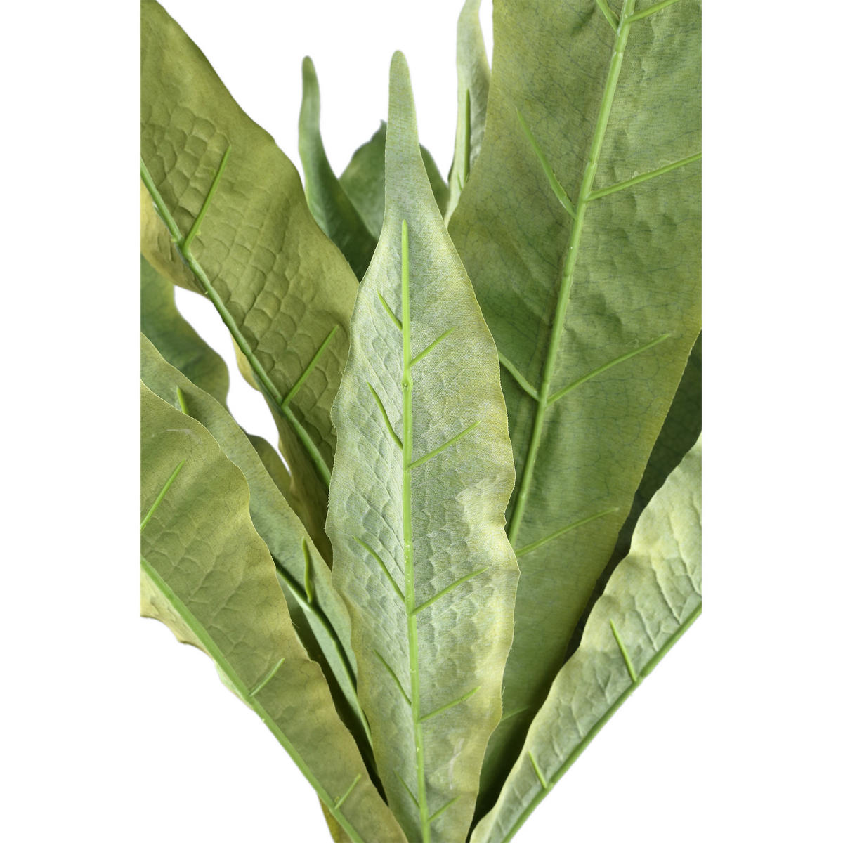 KUNSTBLATT Leaves Grün 65/65/82cm - Grün, Textil (65/82/65cm) - PTMD Collection