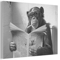 AKUSTIKBILD Affe - WC - Zeitung - Schwarz-Weiß - Humor Gemälde 80x60 cm - Hellgrau, Kunststoff (80/60/0.9cm) - MuchoWow