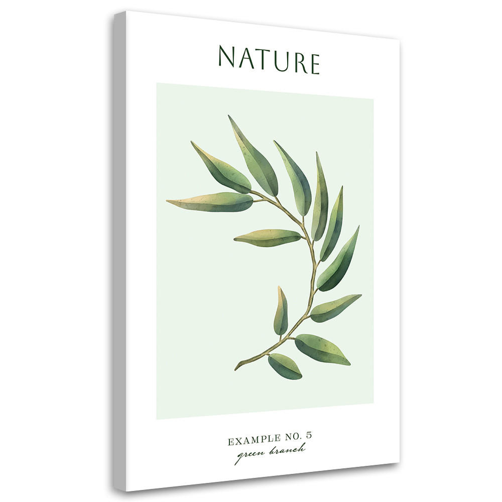 WANDBILD grüner zweig natur - Grün, Textil (40/60cm) - Feeby