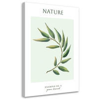 WANDBILD grüner zweig natur - Grün, Textil (40/60cm) - Feeby