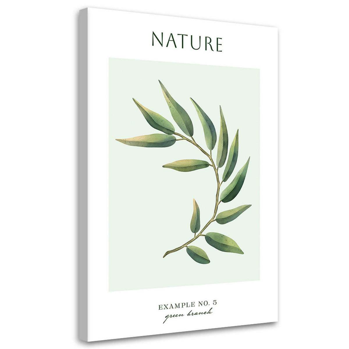 WANDBILD grüner zweig natur - Grün, Textil (40/60cm) - Feeby