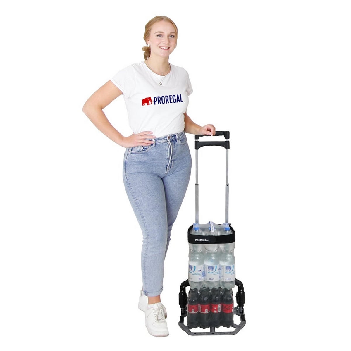 SACKKARRE Elephant klappbar 110x39x42cm Traglast 70kg AluminiumrahmenTRR Fachgummiräder Silber - Silberfarben, Metall (42/39/110cm) - PROREGAL