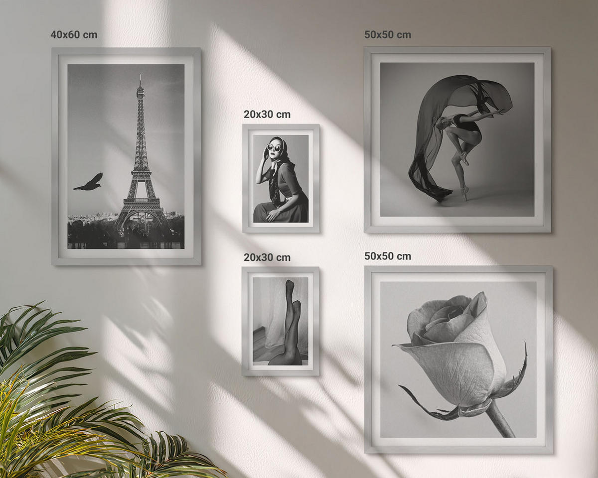 BILDER SET 5er Set - 50x50 cm & 20x30 cm & 40x60 cm Silberner Rahmen - Stilvolle Porträts eleganter Frauen - Silberfarben, Kunststoff (40/60cm) - TULUP