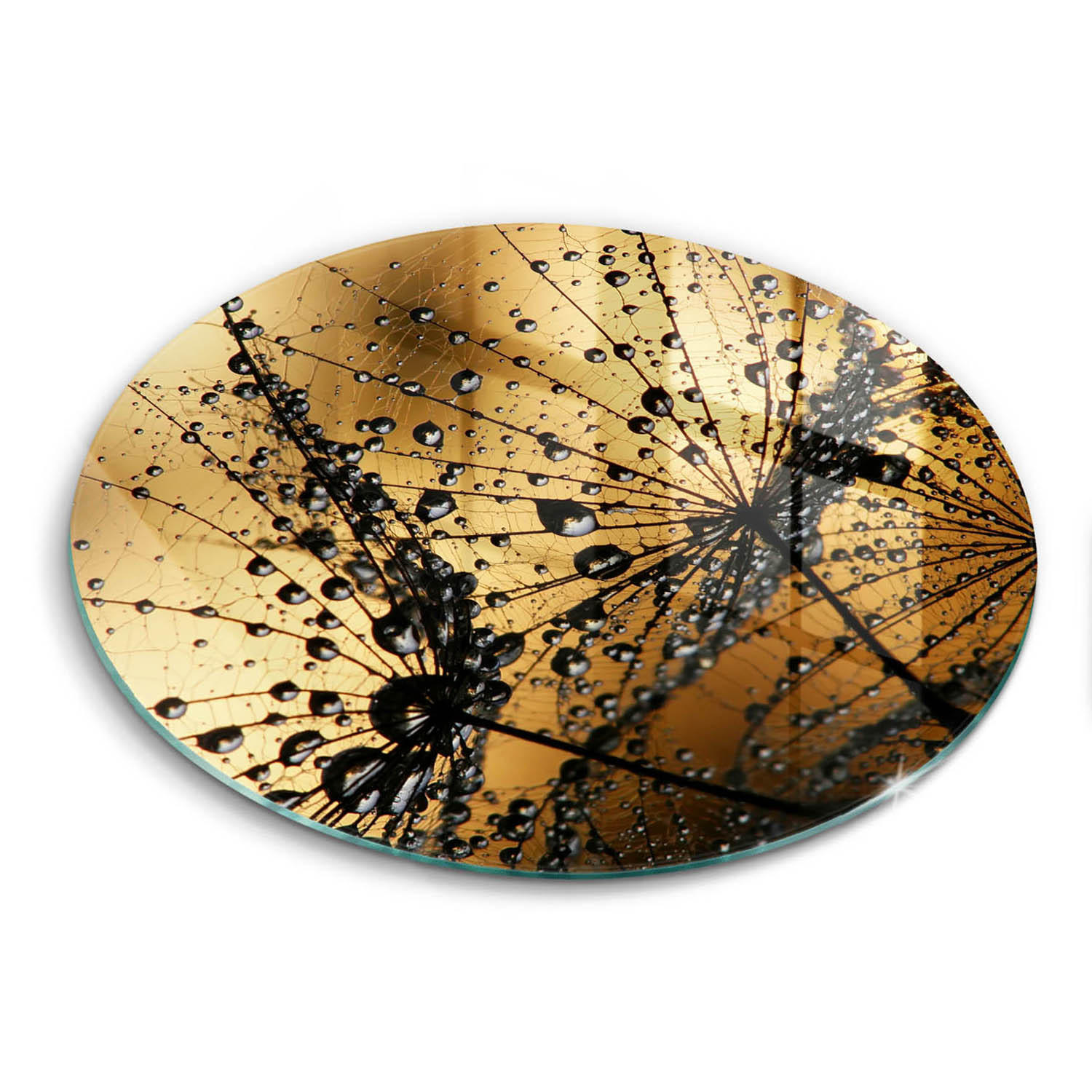 GLASPLATTE Ø 40 cm Rosa und Pusteblumen - Currygelb, Glas (40/40cm) - Wallfluent