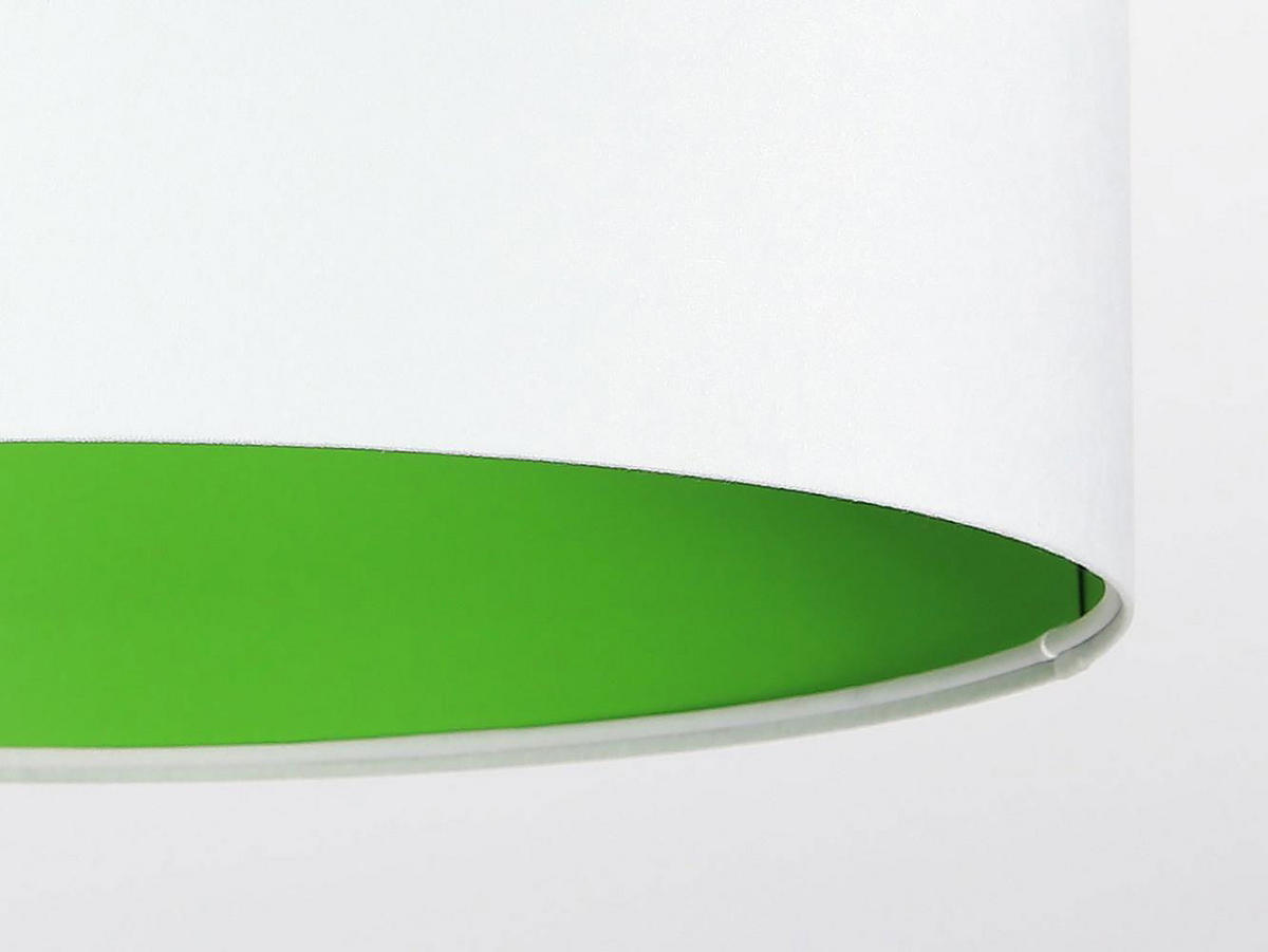 HÄNGELEUCHTE Grün 60/30 cm - Weiß/Grün, Kunststoff (60/1.1/30cm) - ONZENO