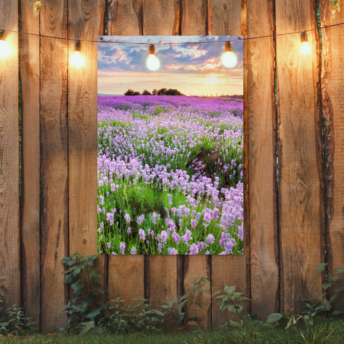 ZAHRADNÍ PLAKÁT Květiny - Levandule - Fialová - Obloha - Západ slunce - Louka - Příroda 80x120 cm - šeříková, plast (80/120/0.2cm) - OnlyWow