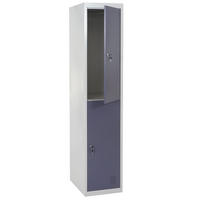 SCHLIESSFACH Grau - Grau, Metall (38/185/45cm) - MCW
