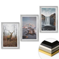WANDBILDER 3er Set - 40x60 cm Silberner Rahmen - Wilde Berglandschaften - Silberfarben, Kunststoff (40/60cm) - ArtPrintCave