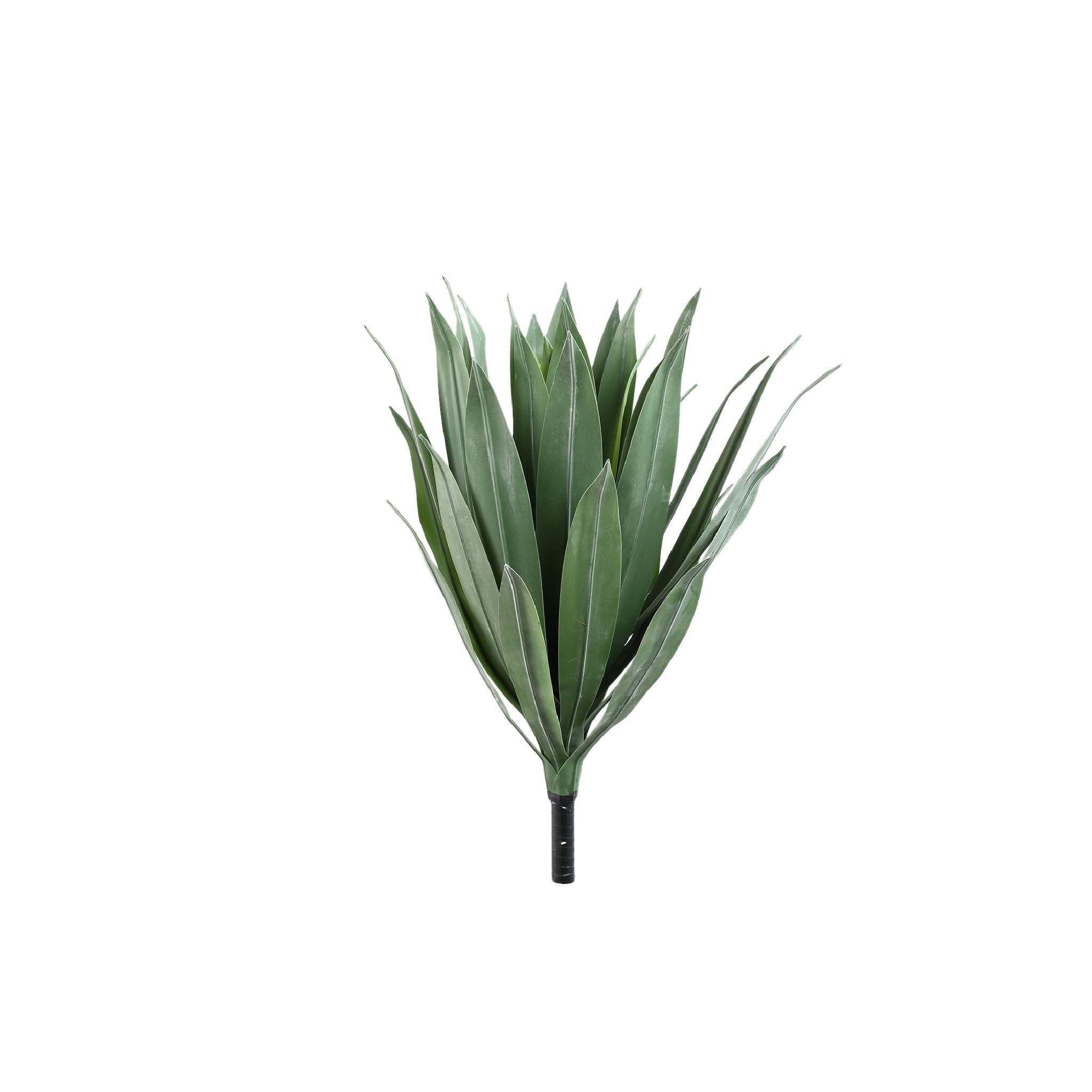 KUNSTPFLANZE Succulent Grün 65/65/55cm - Grün, Kunststoff (55cm) - PTMD Collection