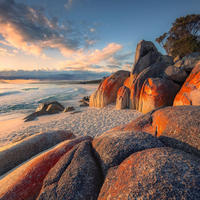 FOTOTAPETE Strand-Motiv 400 x 280 cm - Beige, Papier (400/280cm) - Sanders & Sanders