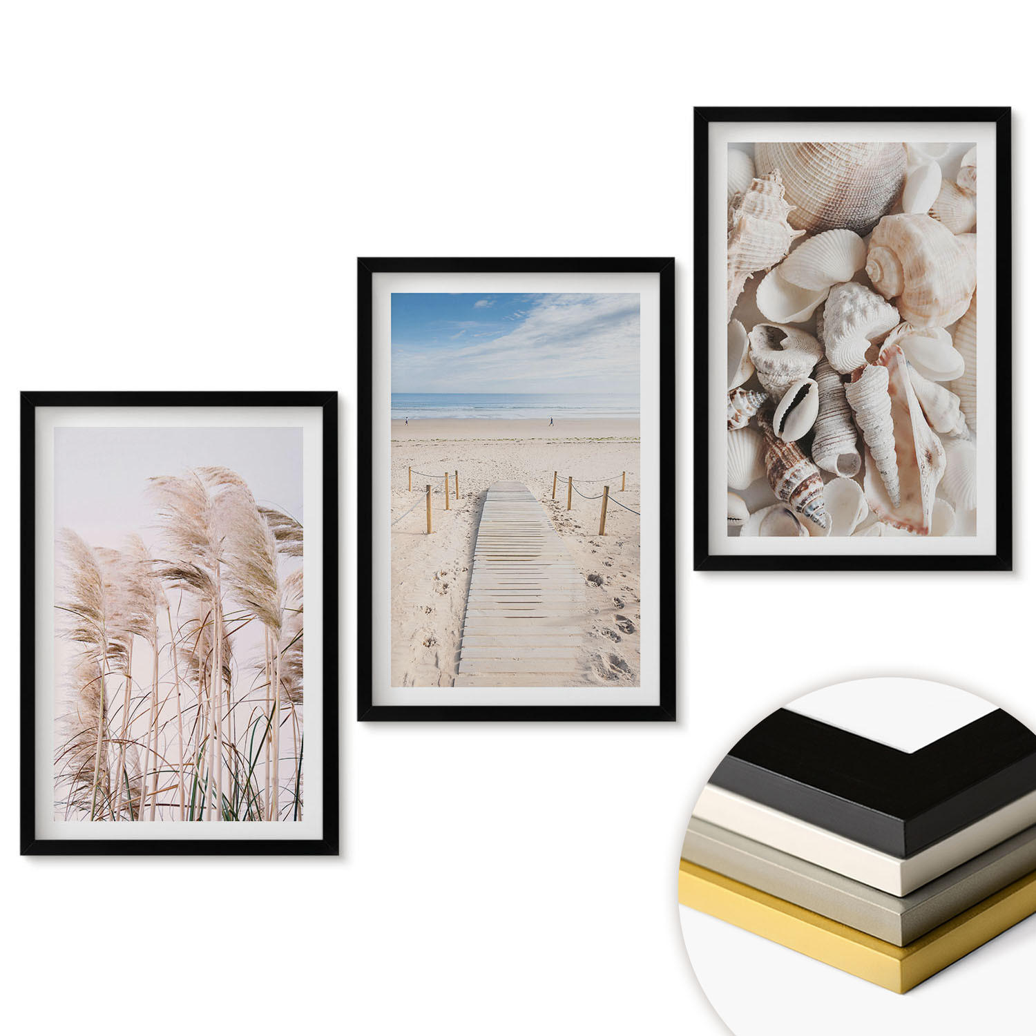 WANDBILDER 3er-Set - 40x60 cm Schwarzer Rahmen - Strandmuscheln Seegras - Schwarz, Kunststoff (40/60cm) - ArtPrintCave