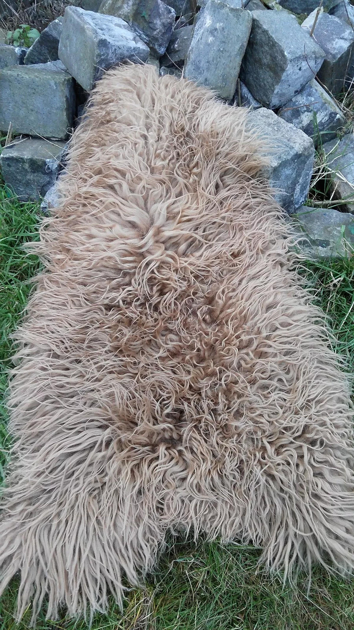 SCHAFFELL Island Lammfell lockig ca. 110 cm Naturfarben - Braun, Fell (60/110cm) - Provellus