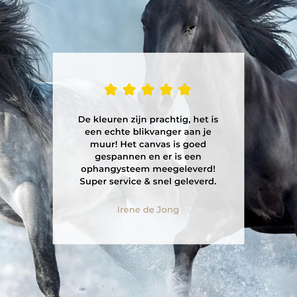 LEINWANDBILD Pferde - Winter - Tiere - Natur - Schnee Wohnzimmer 120x80 cm - Anthrazit, Textil (120/80cm) - MuchoWow