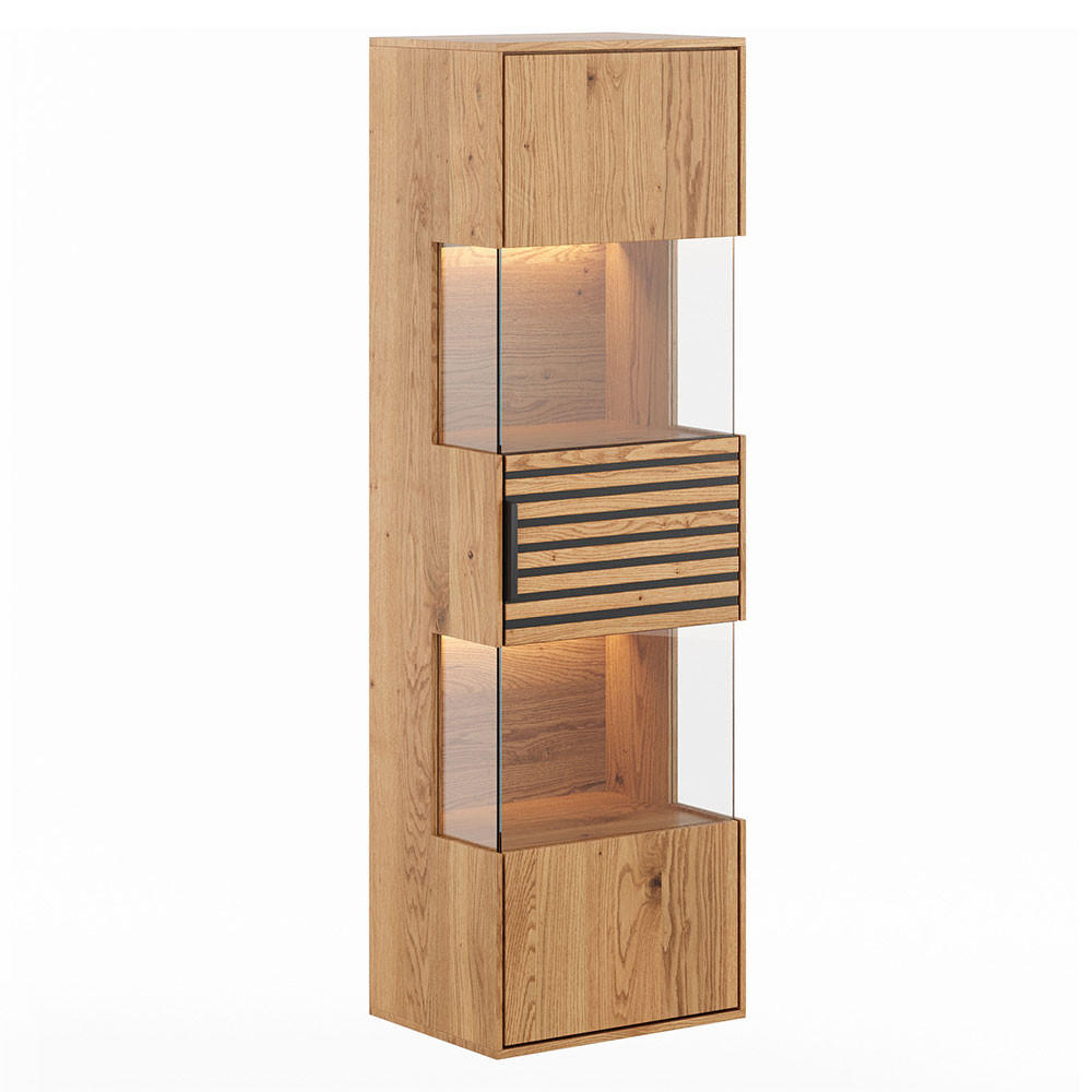 Feldmann-Wohnen Hängevitrine Eiche, Schwarz 43x142x33 cm