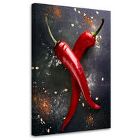 WANDBILD paprika food küche - Rot, Textil (40/60cm) - Feeby