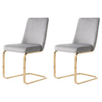 SCHWINGSTUHL 2-er Set Freischwinger,Esszimmerstuhl mit goldenen Stuhlbeinen,Samt,Grau - Grau, Metall (45/88/42cm) - LVHOM
