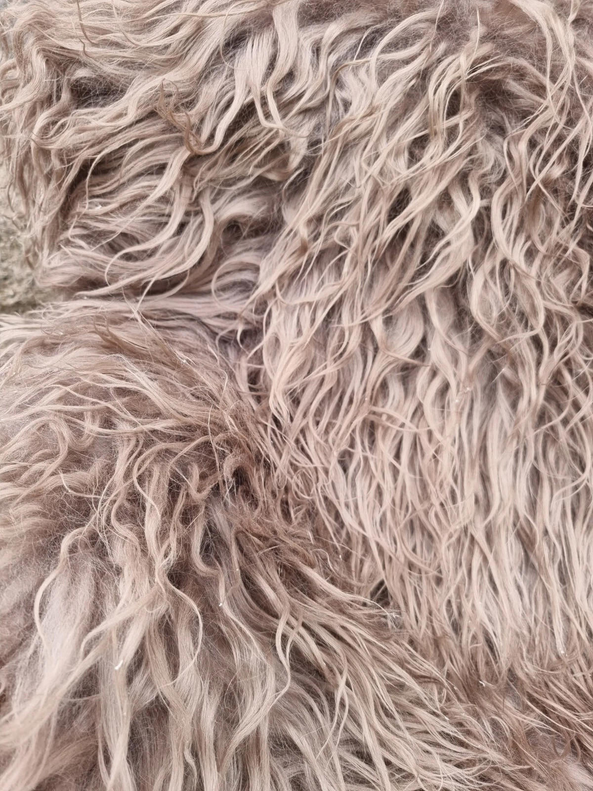 LAMMFELL Island Langhaar natur lockig weich Premium Hell Taupe ca. 135 cm - Taupe, Fell (75/135cm) - Provellus