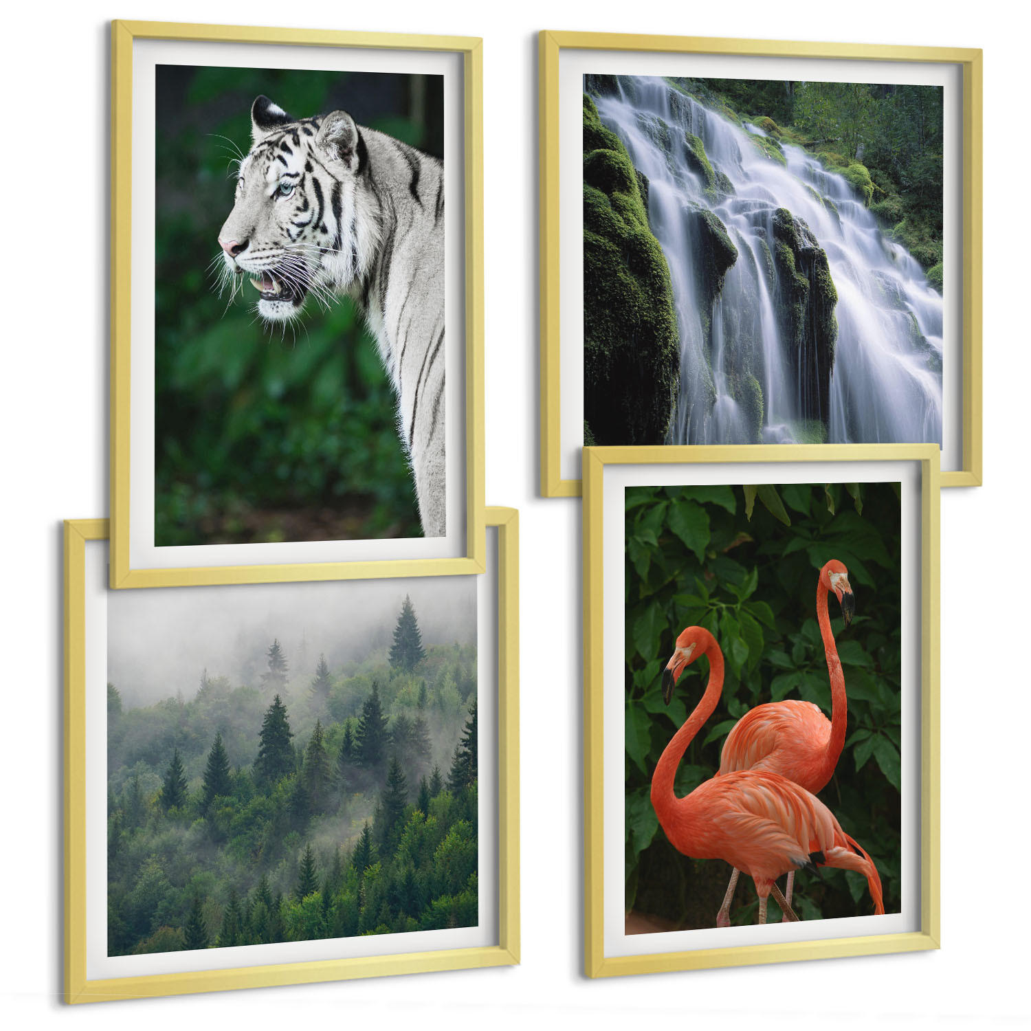 BILDER SET 4er Set - 50x50 cm & 40x60 cm Goldrahmen - Tiger Wasserfall Flamingos Natur - Goldfarben, Kunststoff (50/50cm) - TULUP