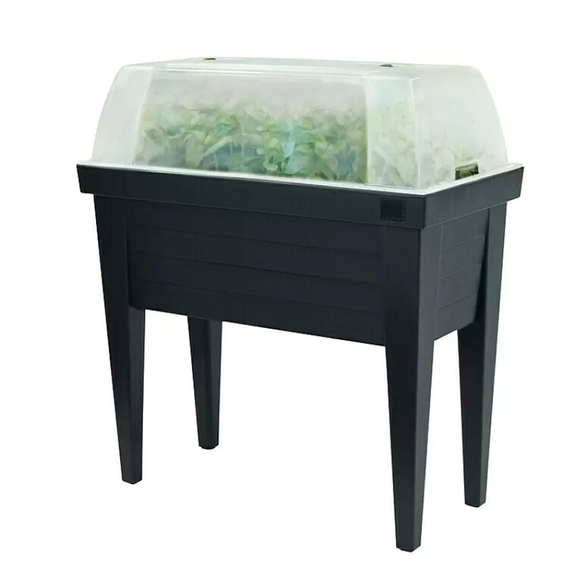 HOCHBEET Kräuterbeet mit Haube 100x50x107cm - Anthrazit, Kunststoff (50/107/100cm) - Bestlivings