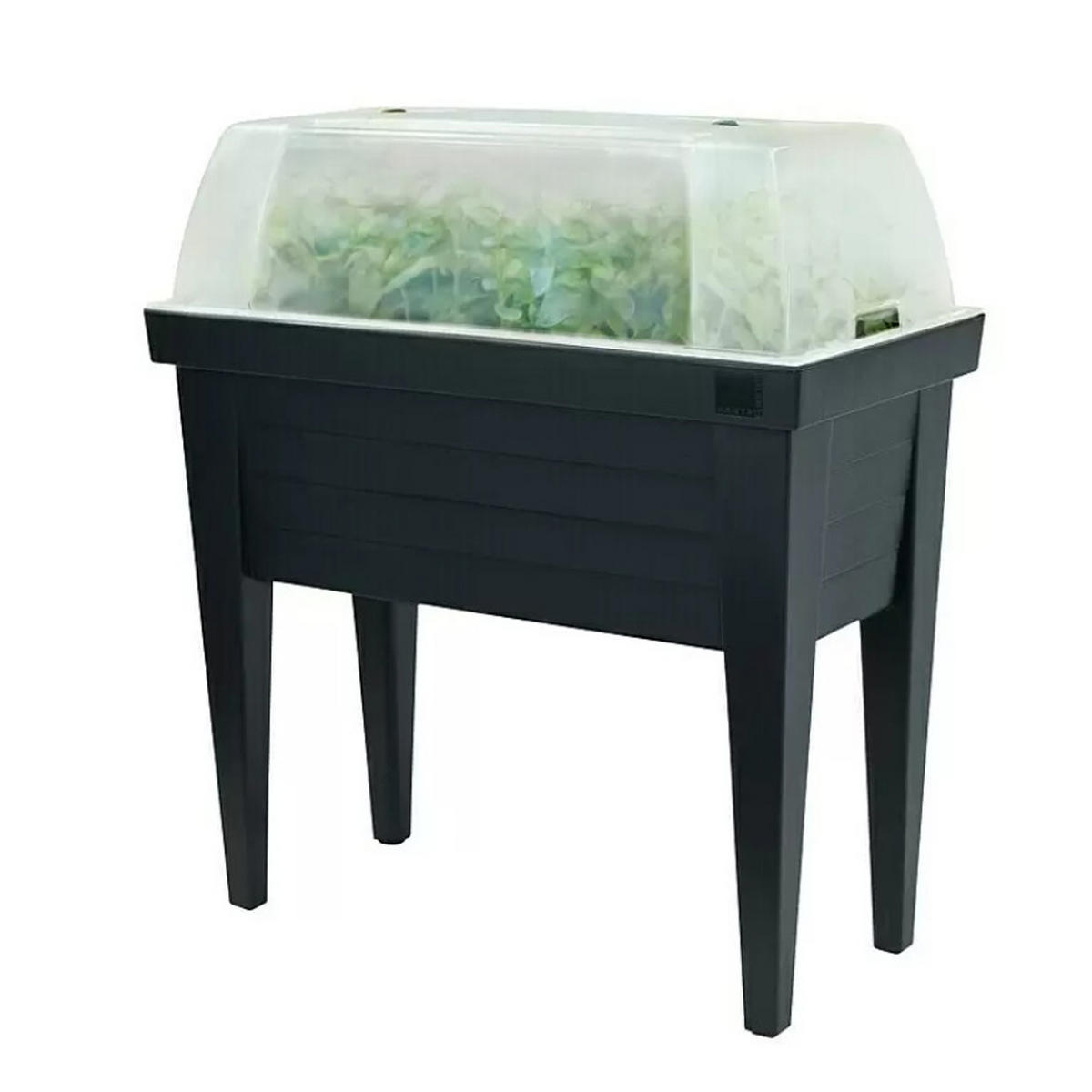 HOCHBEET Kräuterbeet mit Haube 100x50x107cm - Anthrazit, Kunststoff (50/107/100cm) - Bestlivings