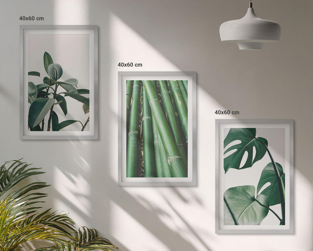 BILDER SET 3er Set - 40x60 cm Silberner Rahmen - Bambusstängel und Monstera-Blätter - Silberfarben, Kunststoff (40/60cm) - TULUP