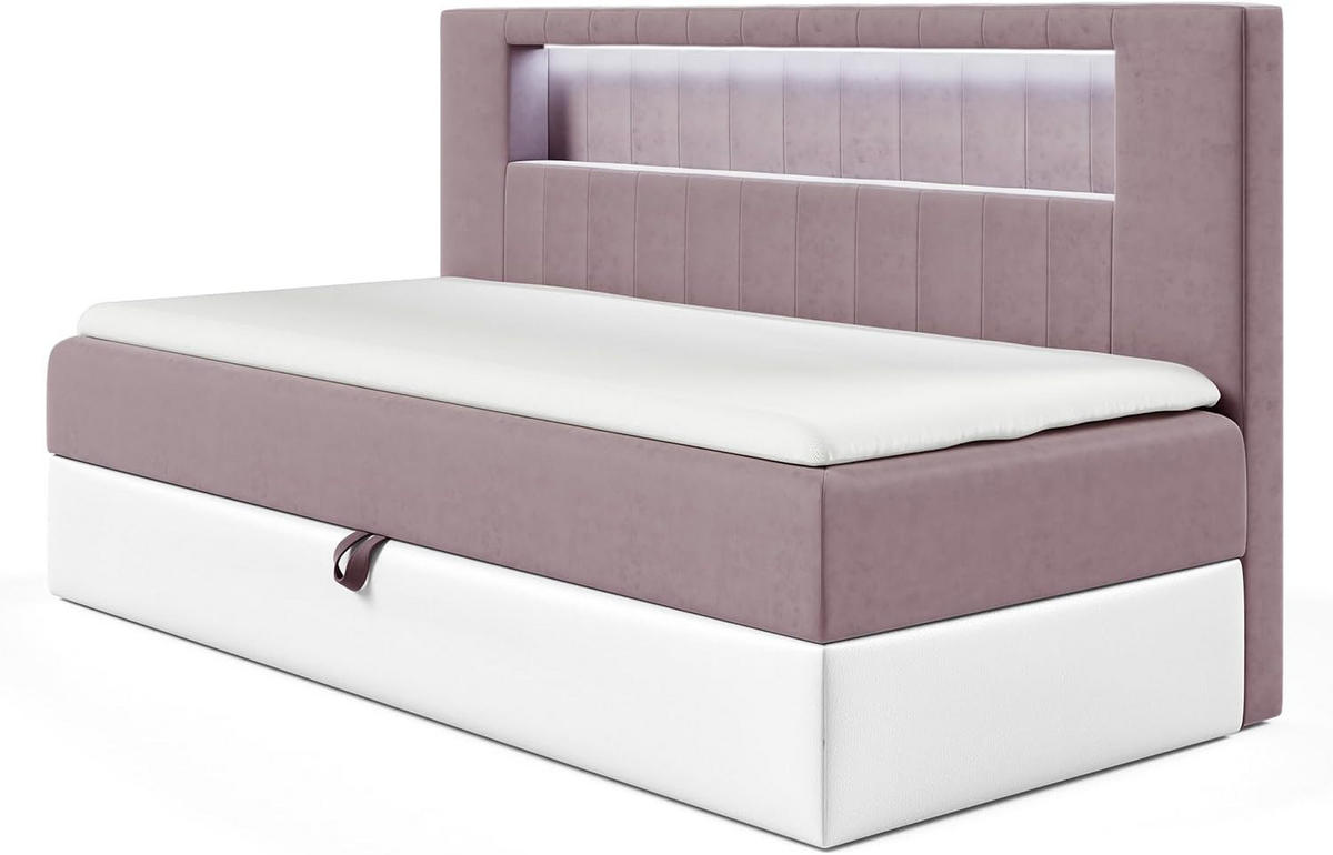 KINDERBETT GARETH 2 - Lila/Weiß, Holzwerkstoff (111/201cm) - Meblini