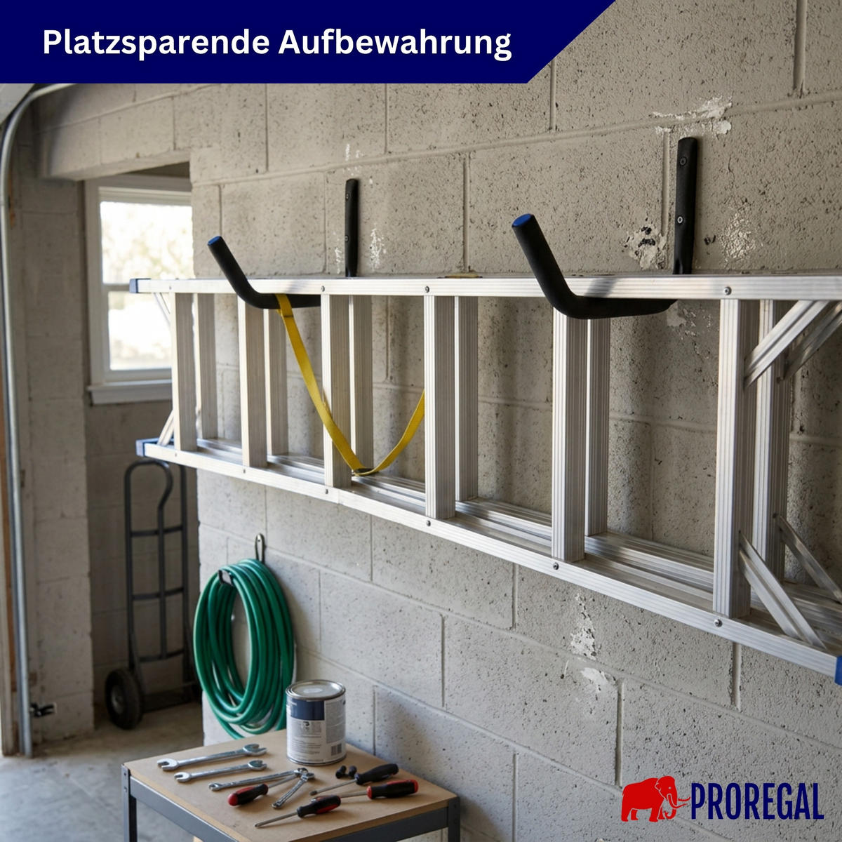 XXL- Schwerlasthaken GRIT mit Polsterhaken HxBxT 31x4x38 cm Traglast 35 kg Schwarz 6-teiliges Set Wandhaken - Schwarz, Metall (38/4/31cm) - PROREGAL