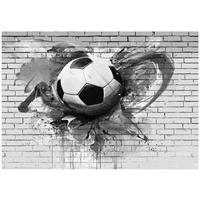 FOTOTAPETE 3D Fußball Grau 250x175 cm - Multicolor, Papier (250/175cm) - Wallarena