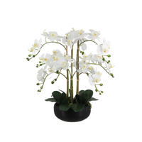 KÜNSTLICHE Orchidee - Bo 65 cm - Weiß, Kunststoff (65cm) - aplanta