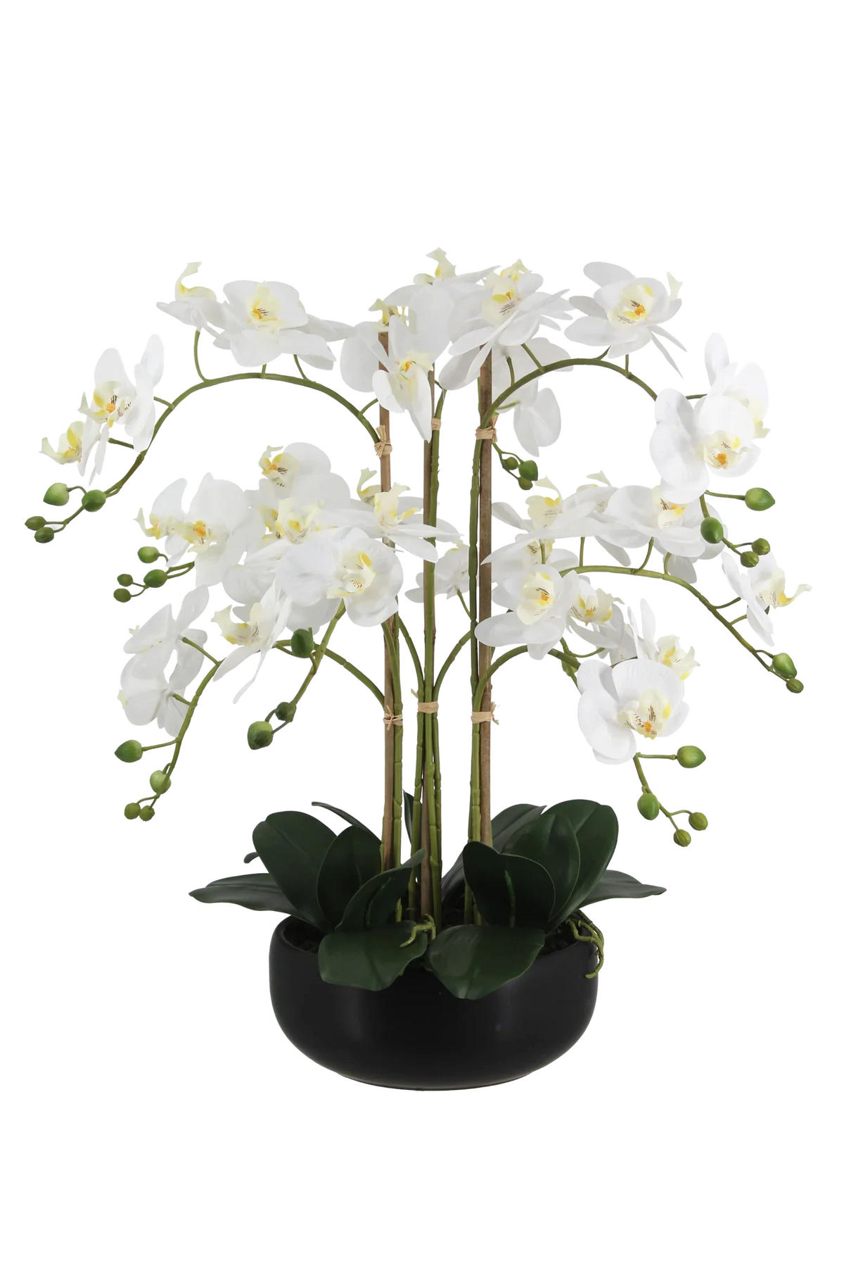 KÜNSTLICHE Orchidee - Bo 65 cm - Weiß, Kunststoff (65cm) - aplanta