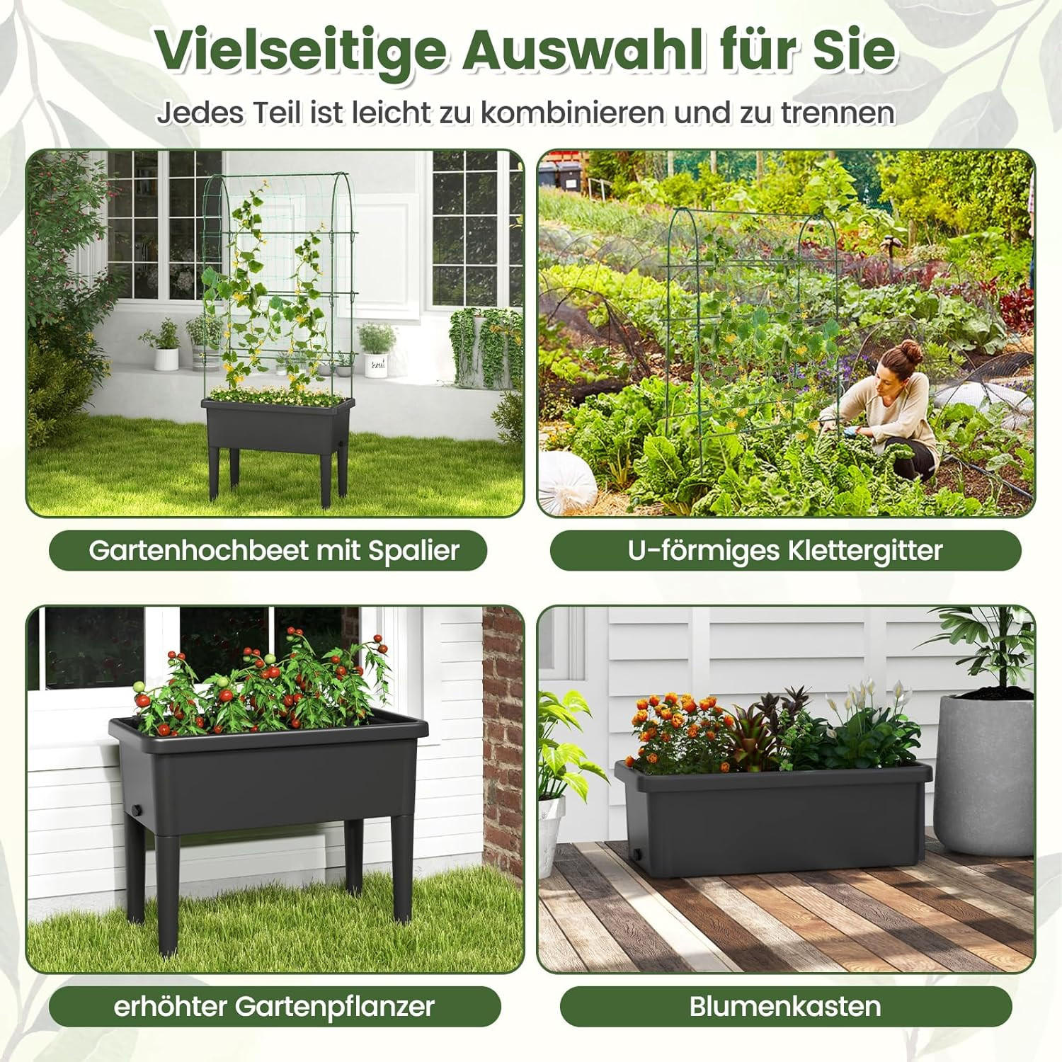 HOCHBEET Schwarz - Schwarz, Holz (37/189/76cm) - COSTWAY