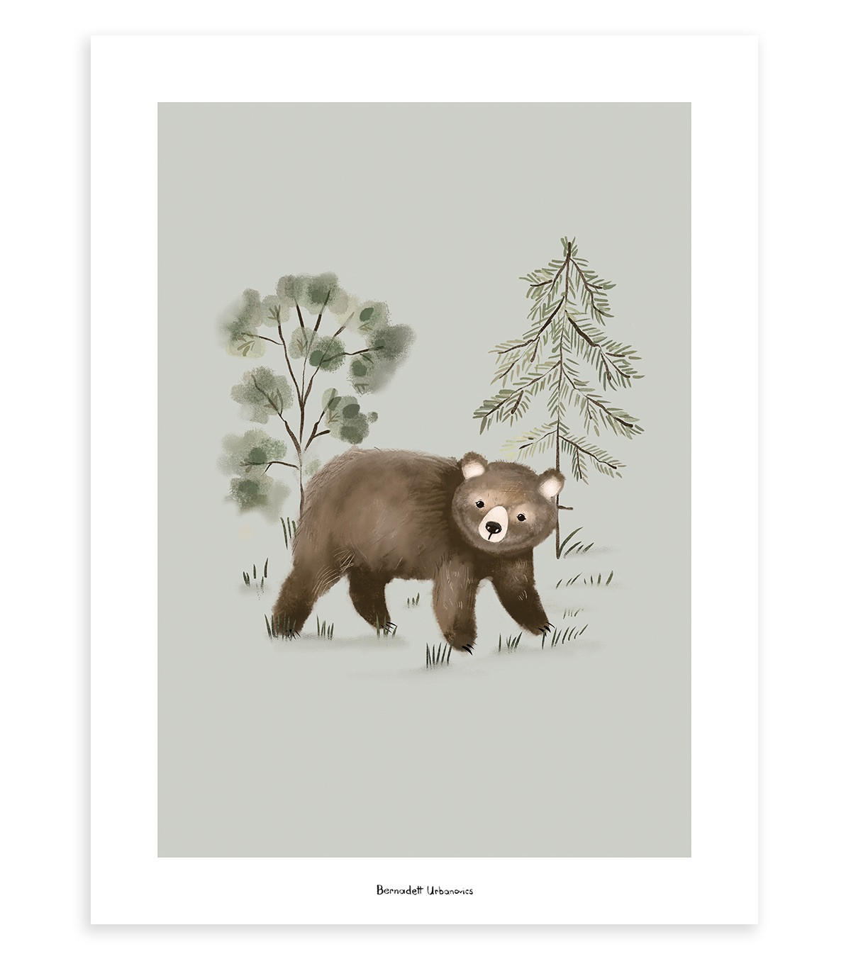 POSTER Kleiner Bär, 30x40 cm - Waldgrün/Braun, Papier (30/1/40cm) - Lilipinso