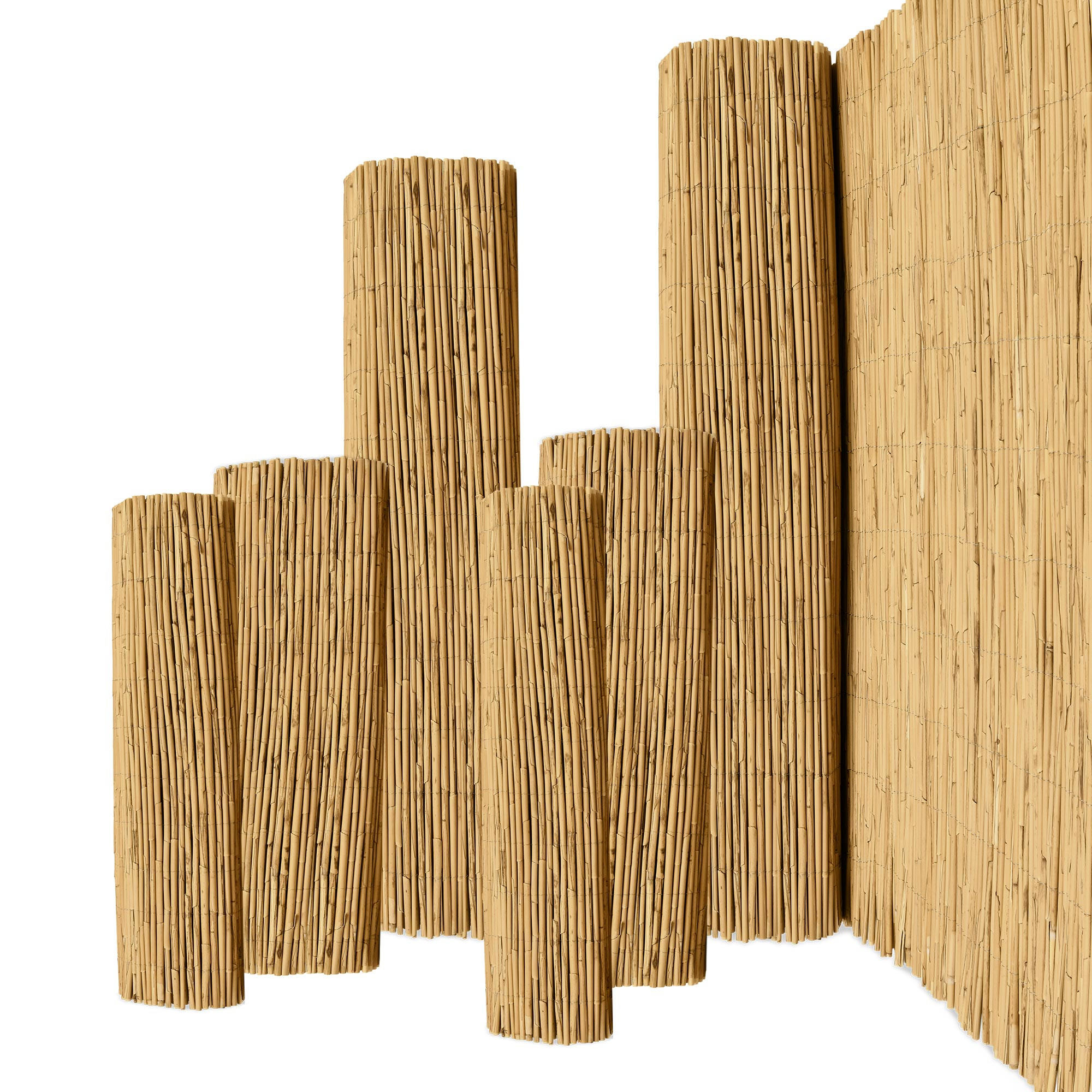 SICHTSCHUTZZAUN SolVision S36 100/600 cm Schilf - Naturfarben, Kunststoff (600/100cm) - Sol Royal