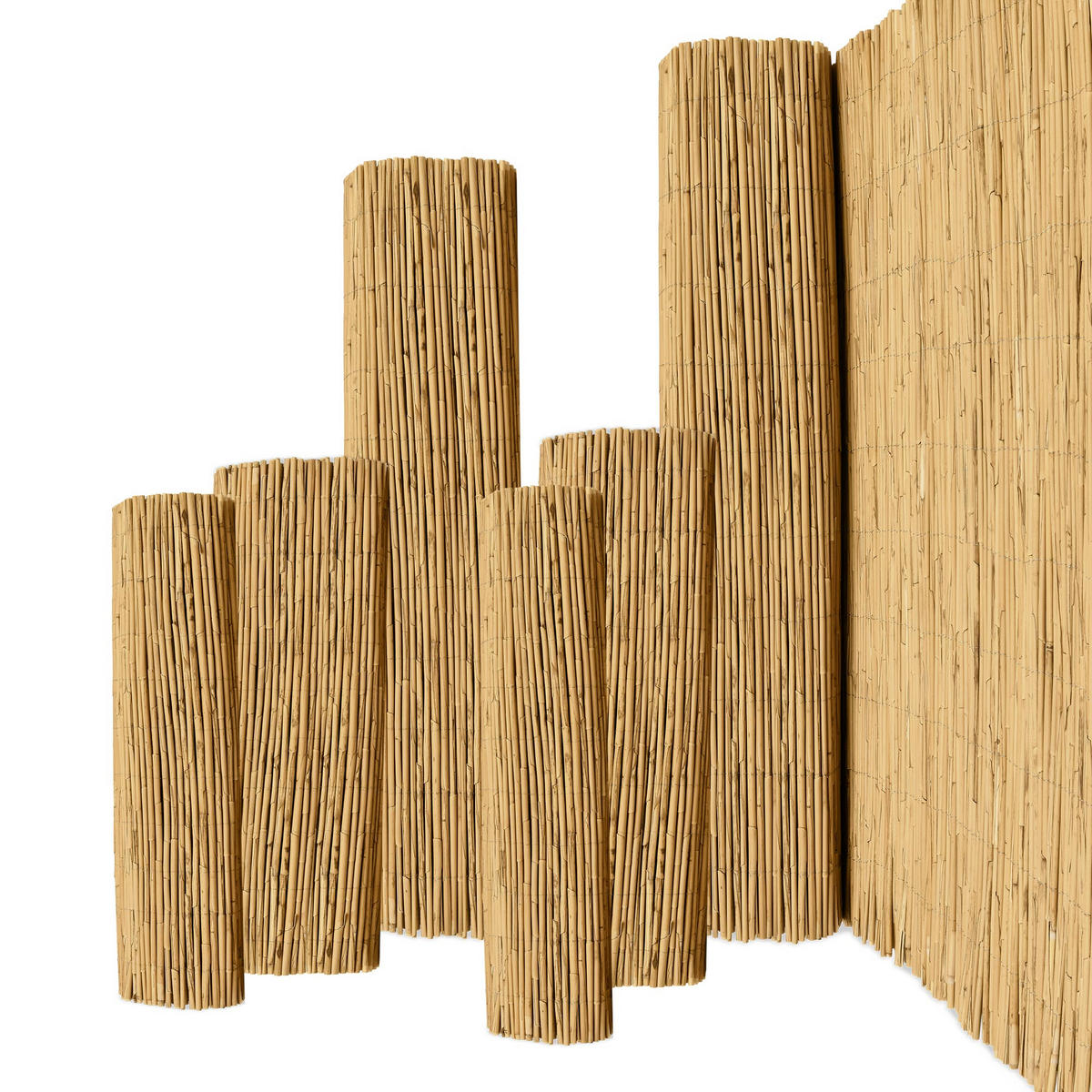 SICHTSCHUTZZAUN SolVision S36 180/600 cm Schilf - Naturfarben, Kunststoff (600/180cm) - Sol Royal
