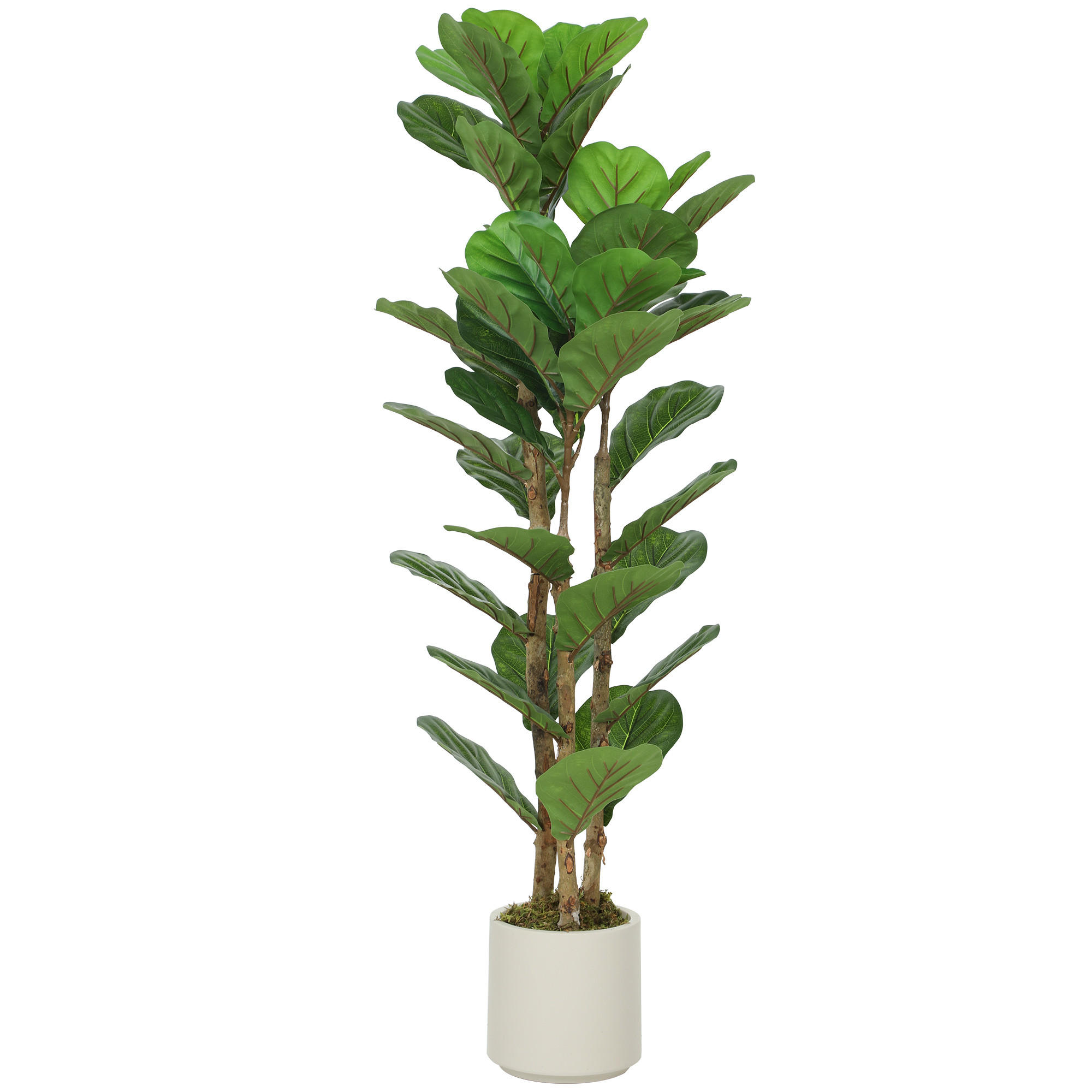 KUNSTPFLANZE DE-16633 120 cm, massiver Holzstamm Grün - Grün, Kunststoff (120cm) - ComfortXL