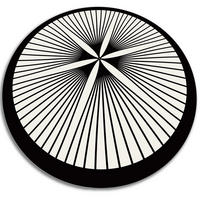 VINYL TEPPICH Ø130 cm Floristische Linien - Schwarz/Weiß, Kunststoff (130/130cm) - TULUP