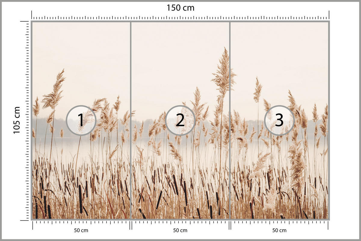 FOTOTAPETE für Wohnzimmer Pflanzen Natur 150x105 - Beige/Braun, Papier (150/105cm) - Muralo