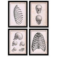 POSTER Set mit 4 Anatomie von Knochen, Rippen und Kopf A4 Schwarzer Rahmen - Schwarz, Papier (29.7/3cm) - Nacnic
