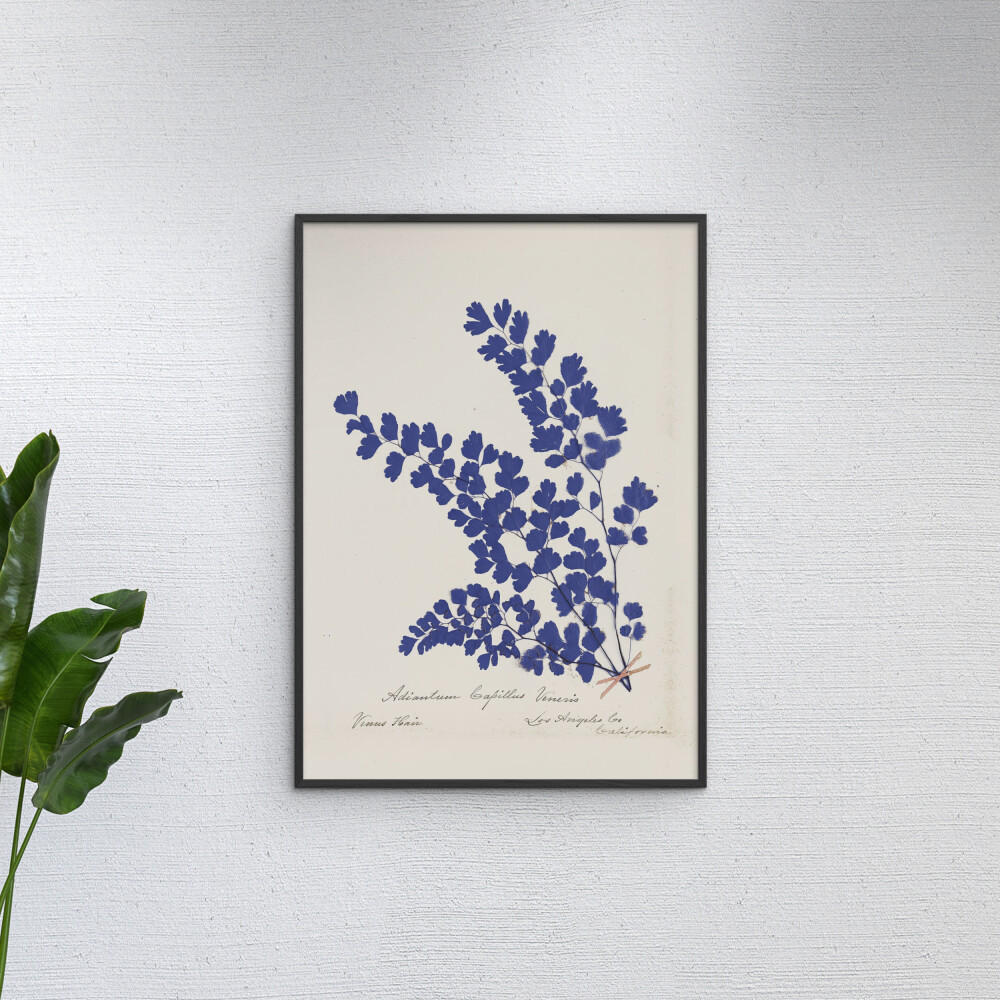 POSTER mit Rahmen Wild Apple - Botanical Fern III Blue - Blau/Schwarz, Holz/Papier (30/40cm) - Poster&Frame