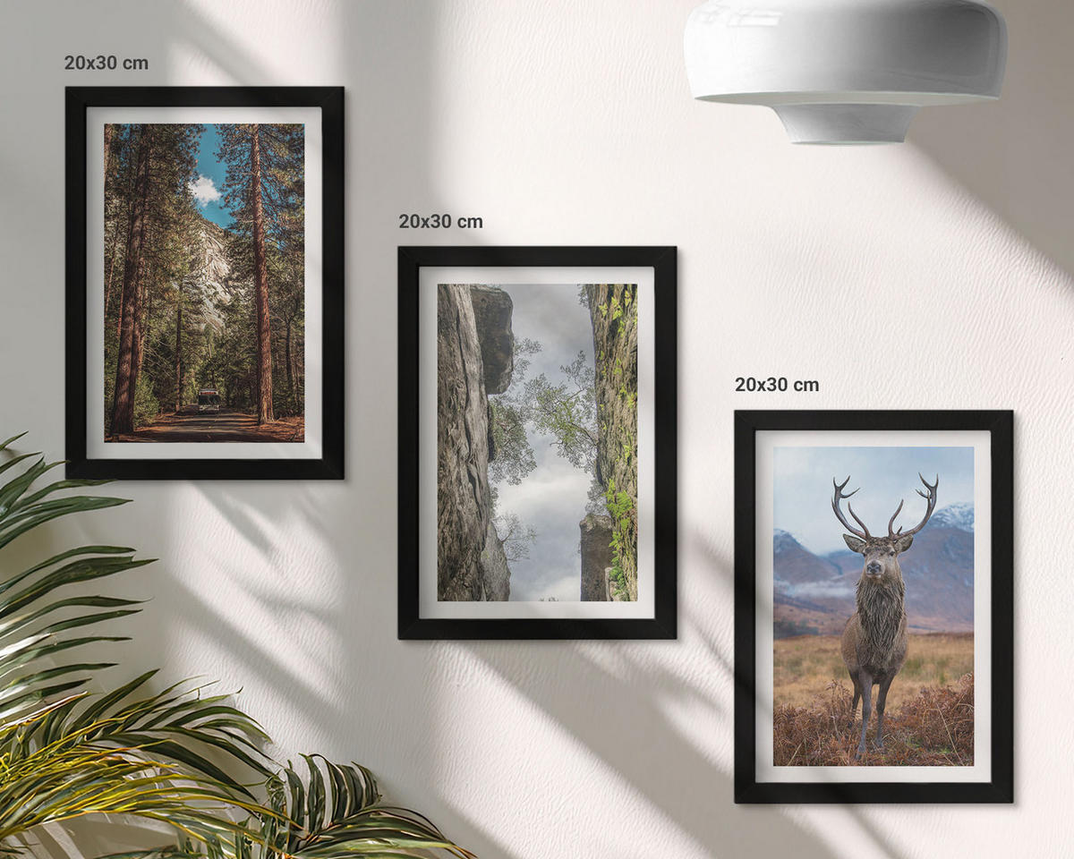 BILDER SET 3er Set - 20x30 cm Schwarzer Rahmen - Straße Wald Berge Hirsch Natur - Schwarz, Kunststoff (20/30cm) - TULUP