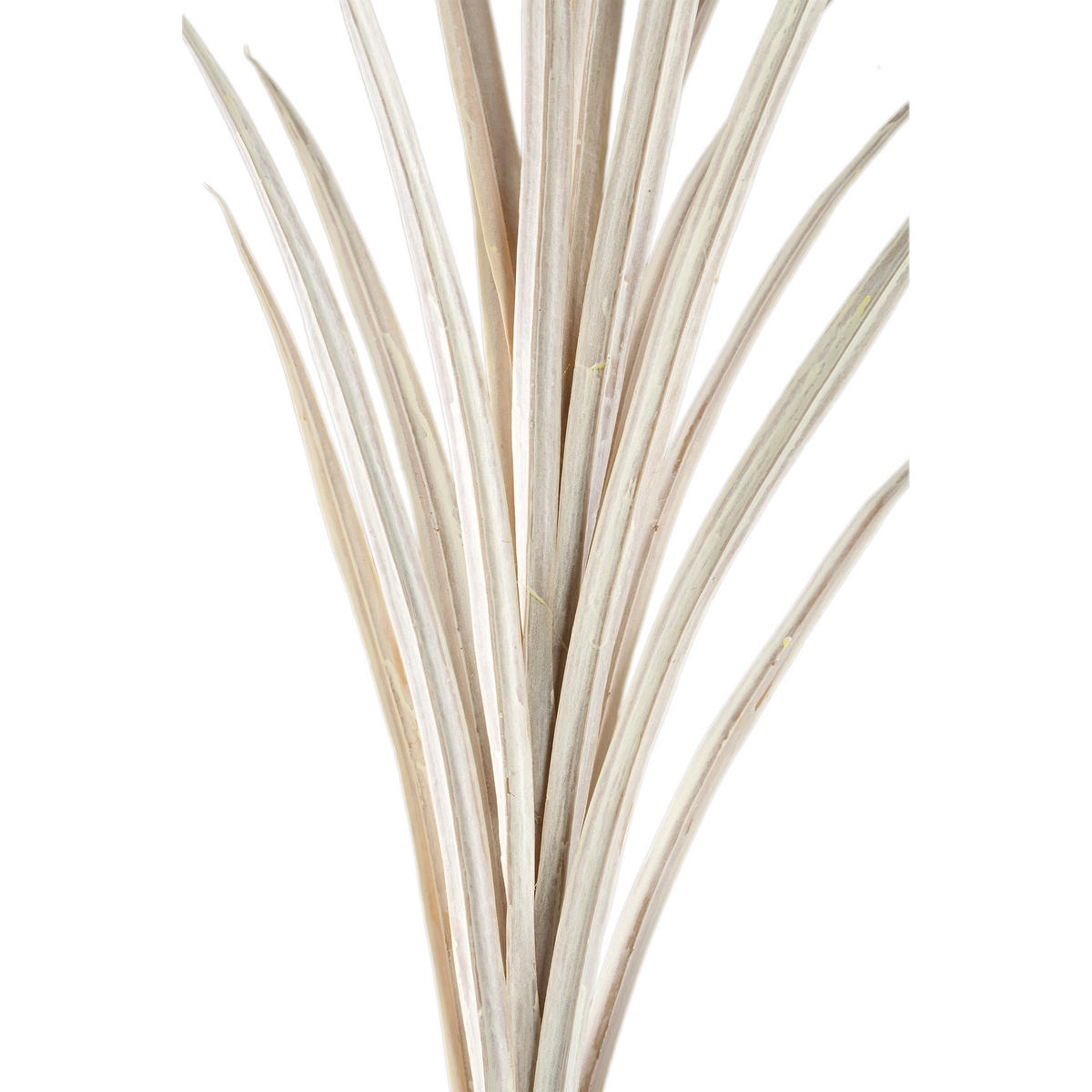 KUNSTBLATT Leaves Beige 76/70/121cm - Beige, Metall (70/121/76cm) - PTMD Collection