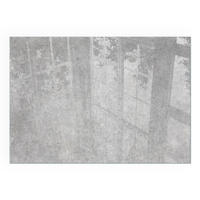 GLASPLATTE für Kamin 100x70 cm - Grau, Glas (100/70/0.4cm) - TULUP