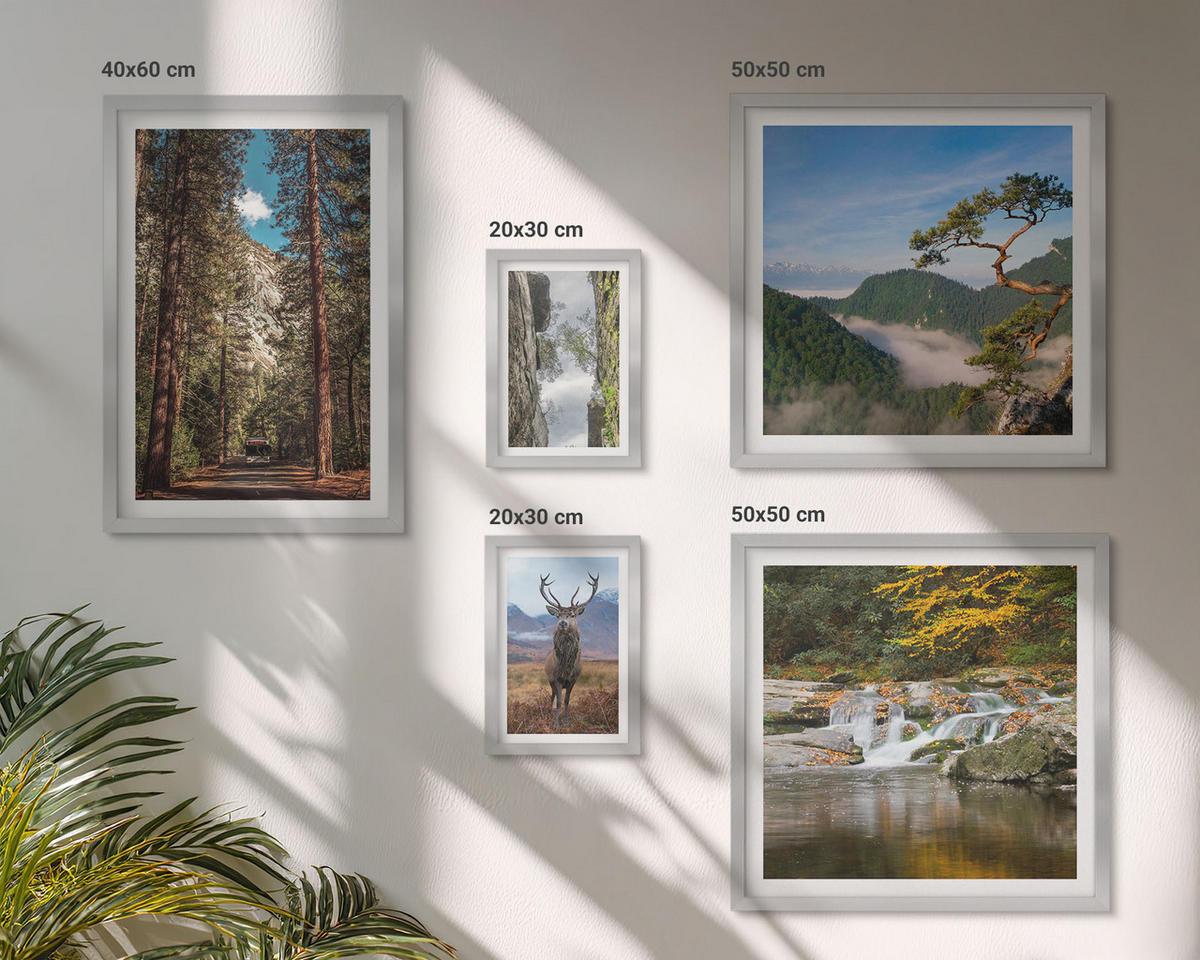 BILDER SET 5er Set - 50x50 cm & 20x30 cm & 40x60 cm Silberner Rahmen - Wasserfall Wald Berge Hirsch Natur - Silberfarben, Kunststoff (40/60cm) - TULUP